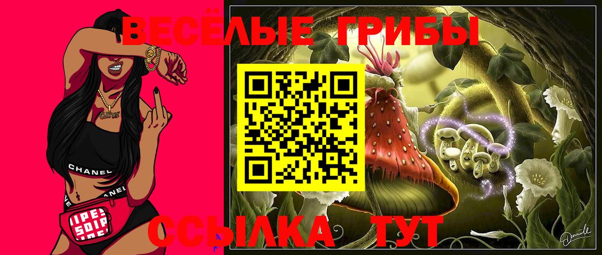 Псилоцибиновые грибы мухоморы Удомля